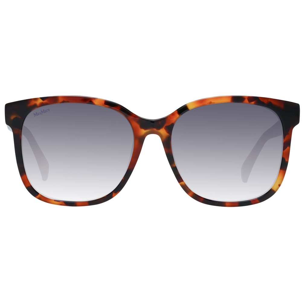Max Mara Brown Acetate Sunglasses