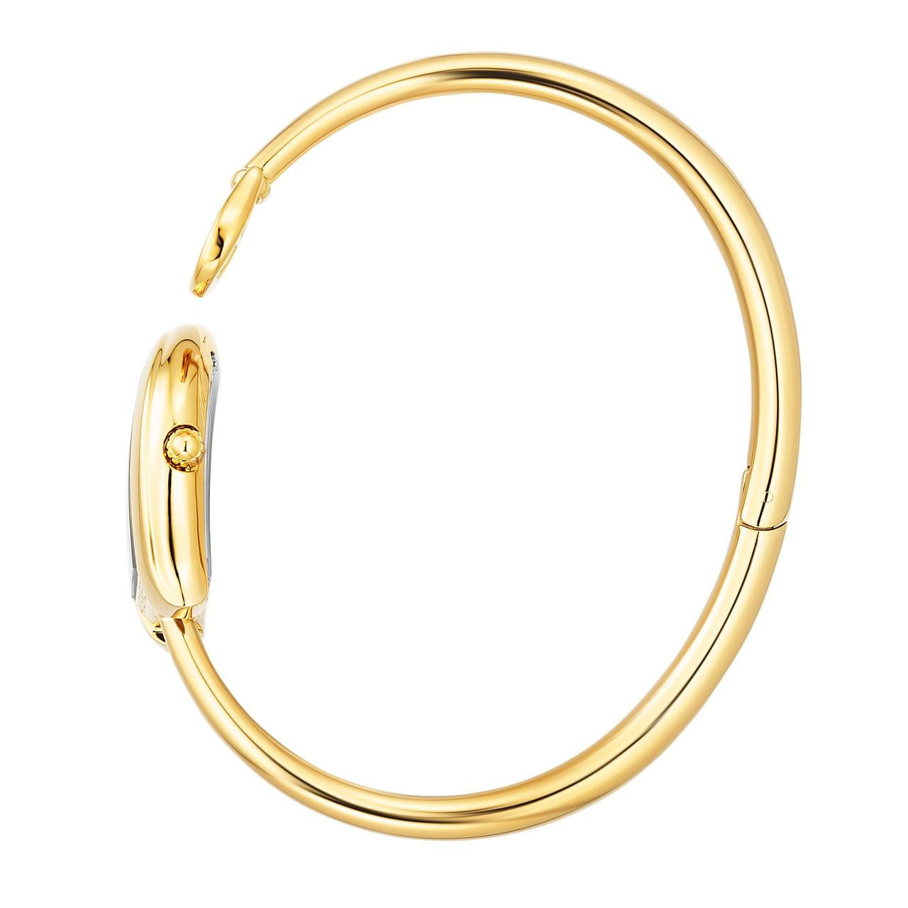 Aigner Flora Watch AGW.271007.S