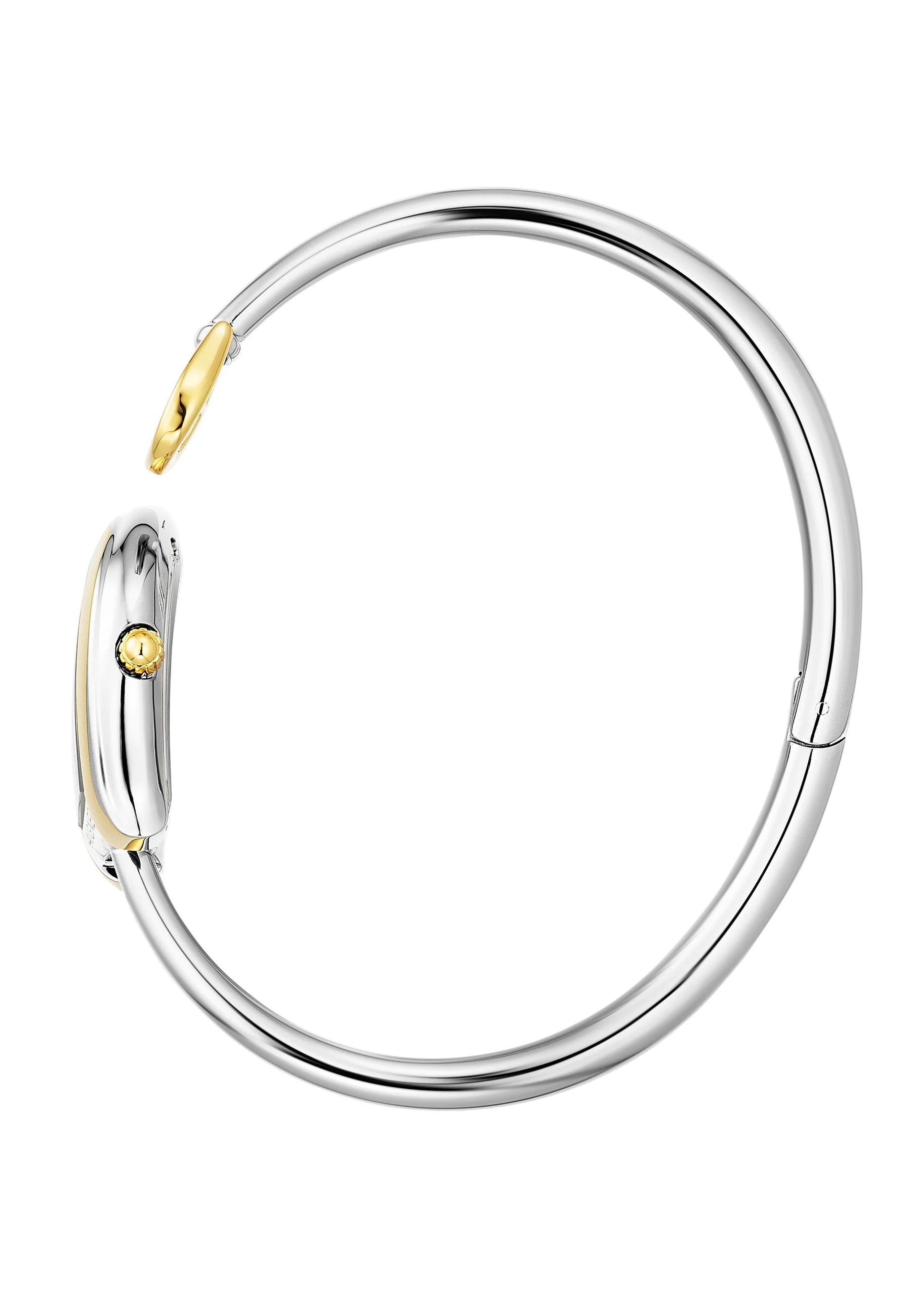 AIGNER Flora Watch AGW.271004.S