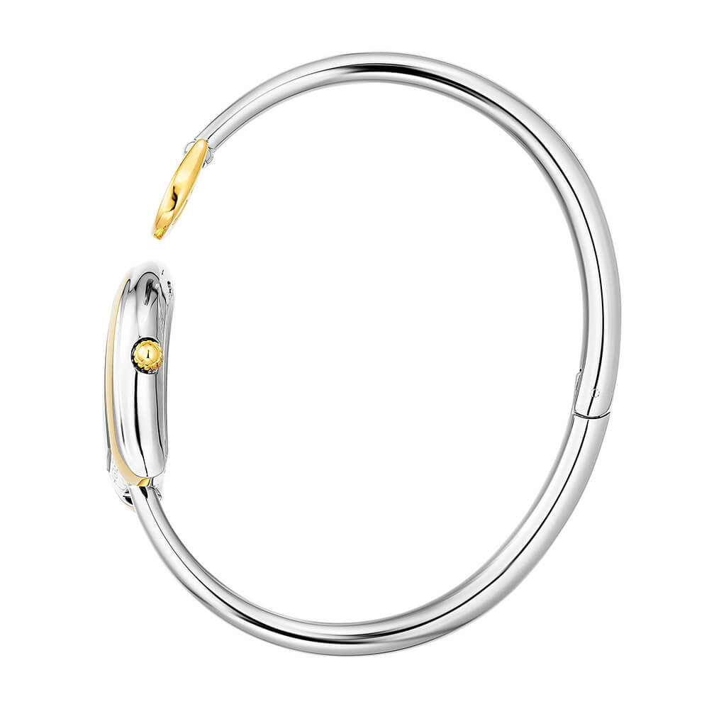 AIGNER Flora Watch AGW.271003.S